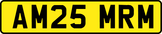 AM25MRM