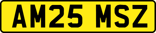 AM25MSZ