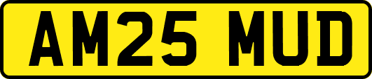 AM25MUD