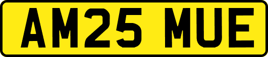 AM25MUE