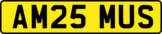 AM25MUS