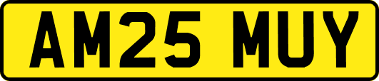 AM25MUY