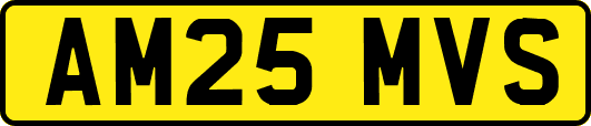 AM25MVS