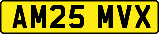 AM25MVX