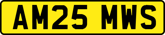 AM25MWS
