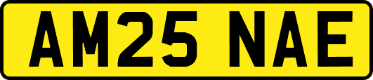 AM25NAE