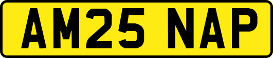 AM25NAP