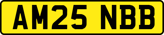AM25NBB