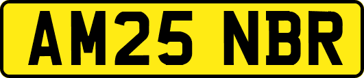 AM25NBR
