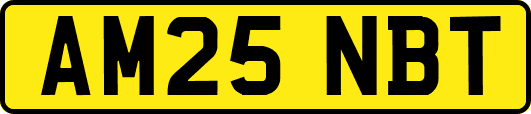 AM25NBT