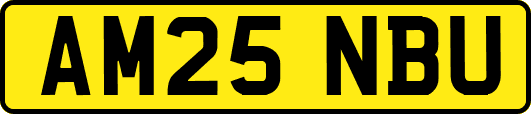 AM25NBU