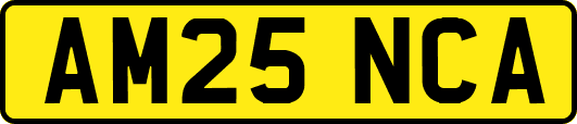 AM25NCA