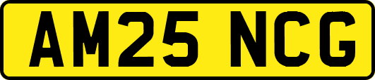 AM25NCG