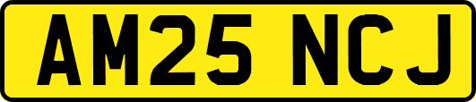 AM25NCJ