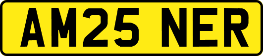 AM25NER