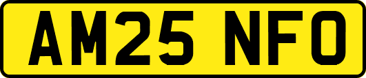 AM25NFO