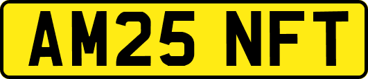 AM25NFT