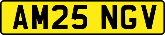 AM25NGV