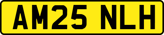 AM25NLH