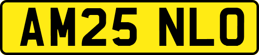 AM25NLO