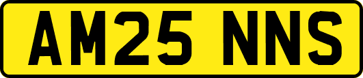 AM25NNS