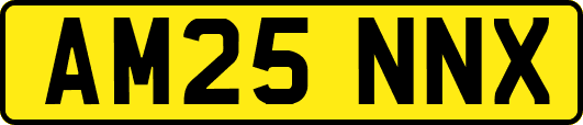 AM25NNX
