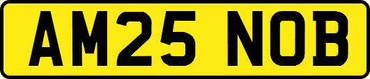 AM25NOB