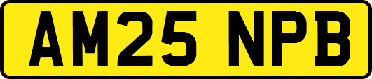 AM25NPB