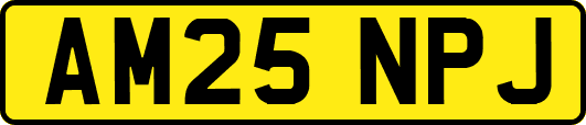 AM25NPJ