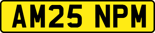 AM25NPM