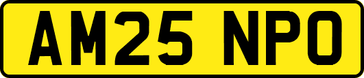 AM25NPO