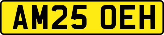 AM25OEH