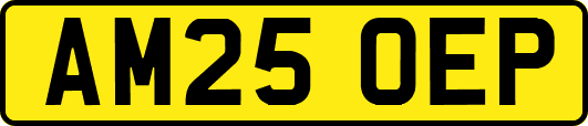 AM25OEP