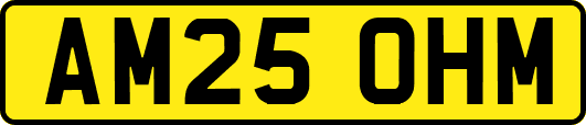 AM25OHM