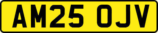 AM25OJV