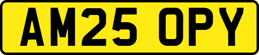 AM25OPY
