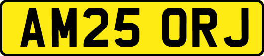 AM25ORJ