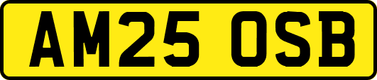 AM25OSB