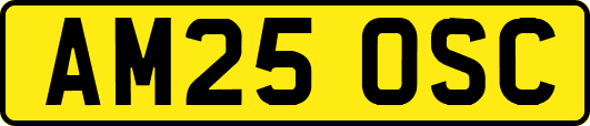 AM25OSC