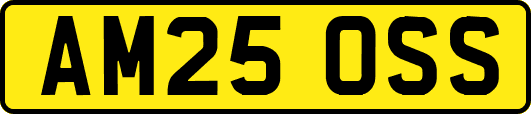 AM25OSS