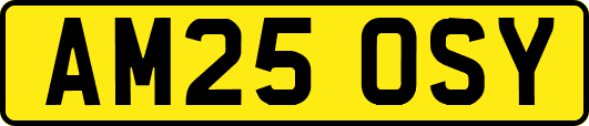AM25OSY