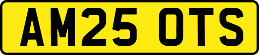 AM25OTS