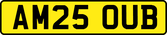 AM25OUB