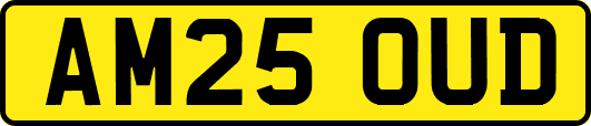 AM25OUD
