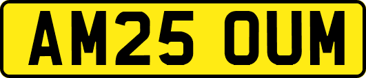 AM25OUM