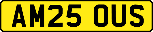 AM25OUS