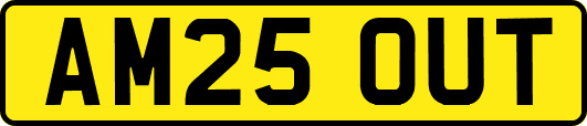 AM25OUT