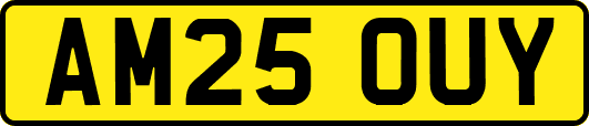 AM25OUY
