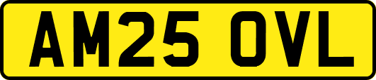 AM25OVL