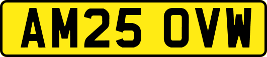 AM25OVW